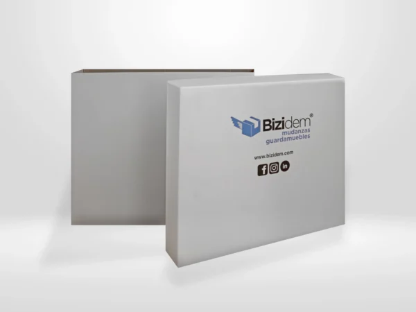 Caja Bizi Cuadro - Imagen 2
